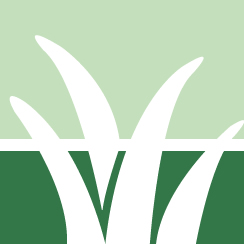 Strive Lawn Maintenance Service