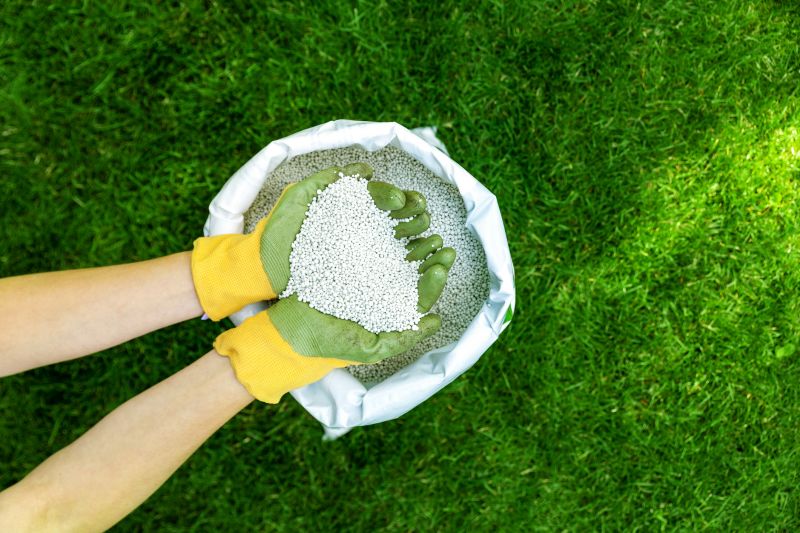 Spring Lawn Fertilizing in Ventura County, CA