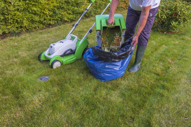 Lawn Maintenance Service