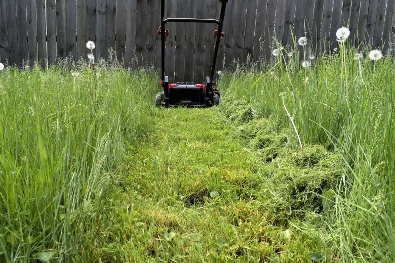 Acreage Mowing Service in Calvert County, MD