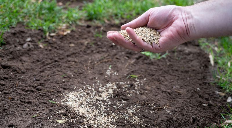 Commercial Lawn Seeding in Honolulu, HI