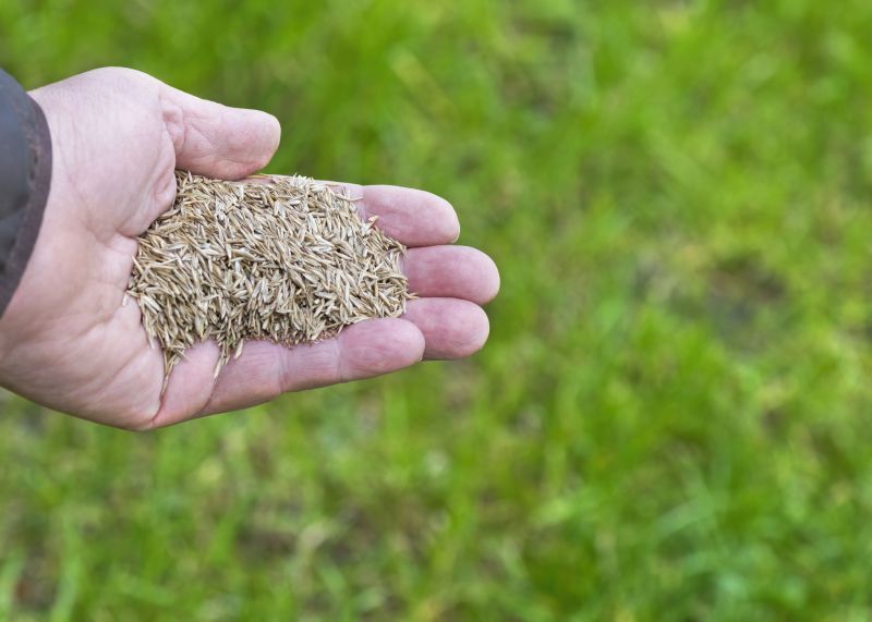 Grass Seed Installation in Honolulu, HI