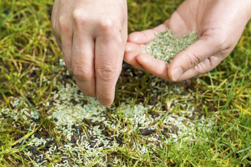 Grass Seed Installation in Ventura County, CA
