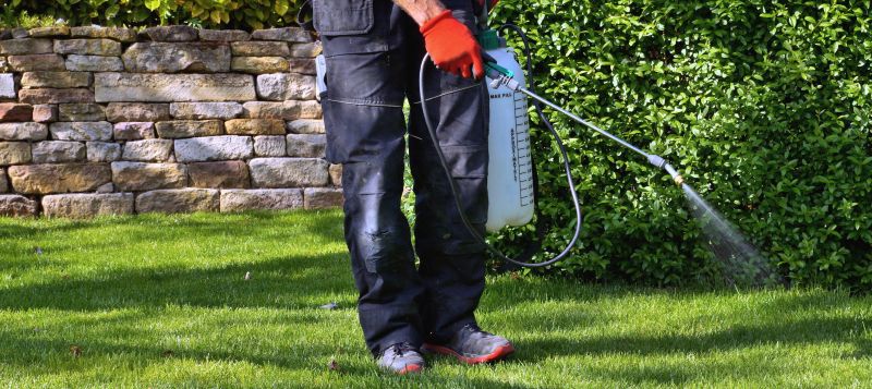 Lawn Herbicide Treatment in Rockwall, TX