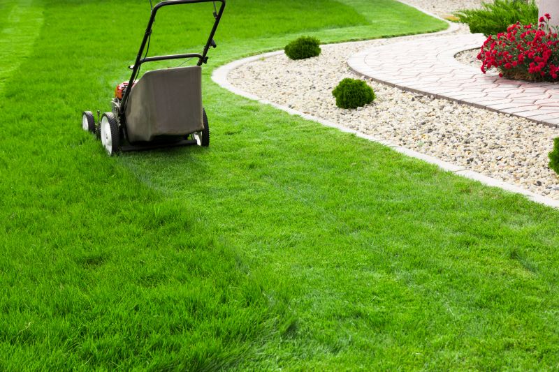 Lawn Maintenance Service