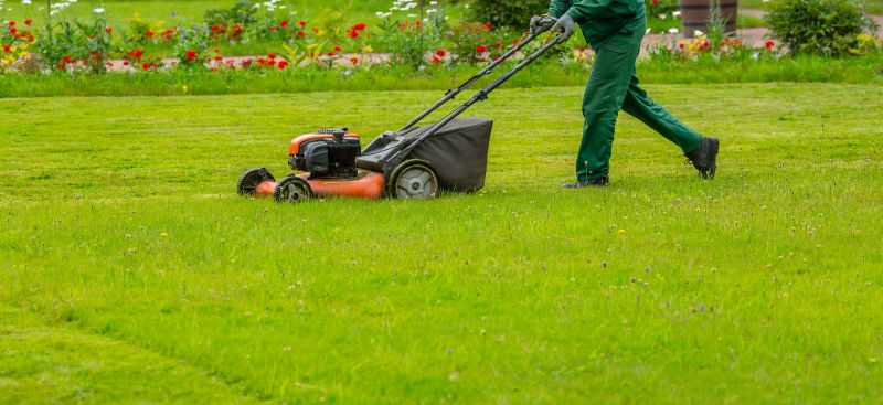 Lawn Maintenance Service