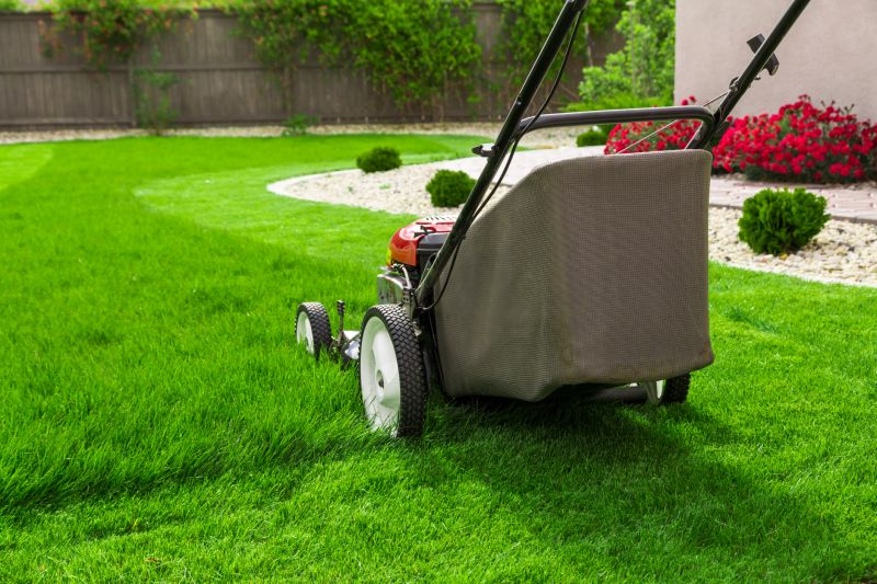 Lawn Maintenance Service