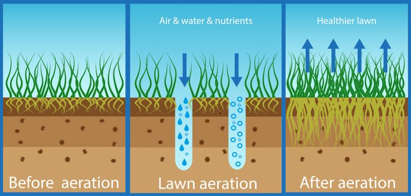 Aeration Services