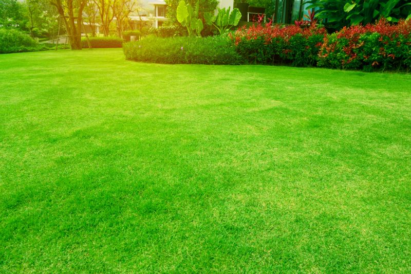 Lawn Maintenance Service