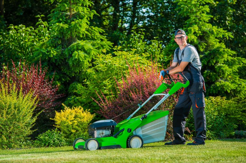 Lawn Maintenance Service