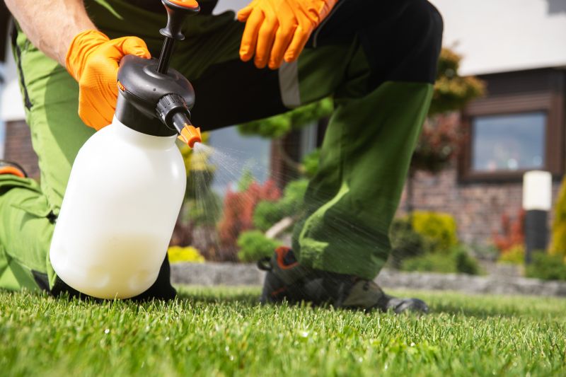 Lawn Weed Control in Ventura County, CA