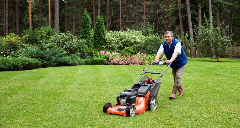 Summer Lawn Care in Bowie, MD