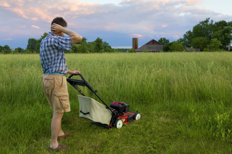 Tall Grass Cutting in Bowie, MD