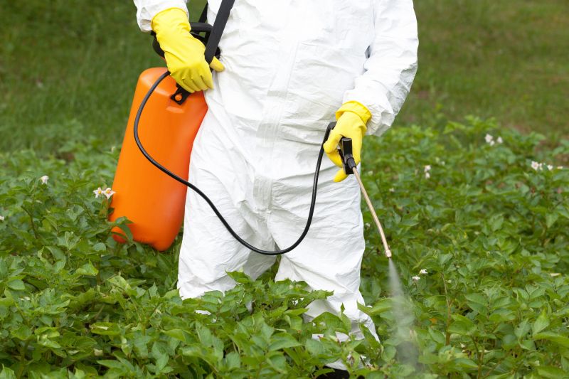 Thistle Treatment in Rockwall, TX
