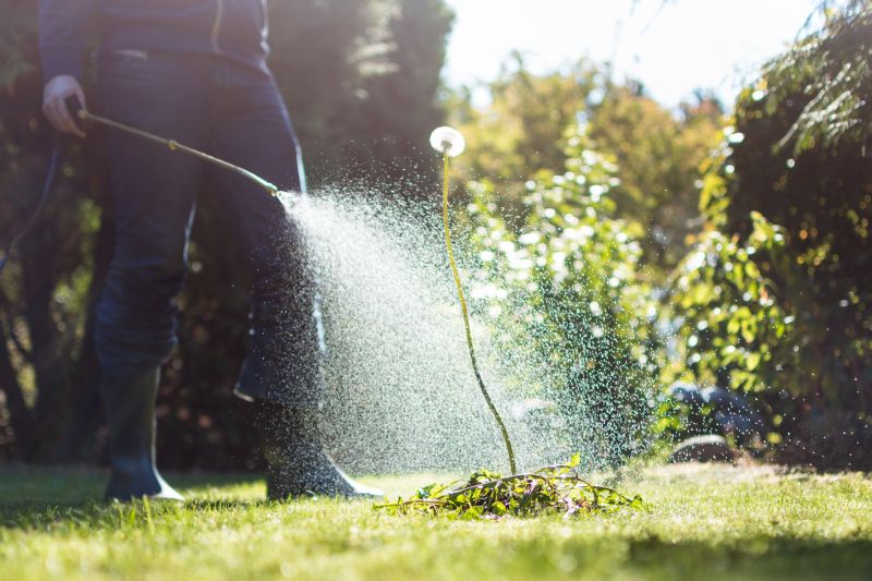 Weed Prevention Service in Honolulu, HI