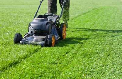 Keep Your Grass Cut and Looking Great!