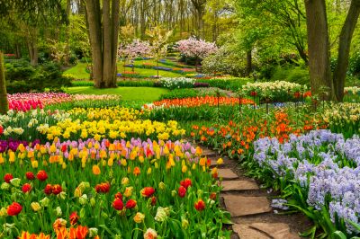 Maintain Flowers and Gardens!
