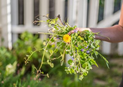 Remove Weeds!